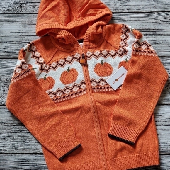Gymboree Orange Pumpkin Sweater Lil's Pumpkin Collection Hooded Zip Up Sweater - Picture 2 of 14